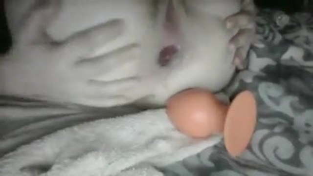 Lots of objects inside her asshole