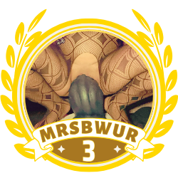 MrsBwur Badge
