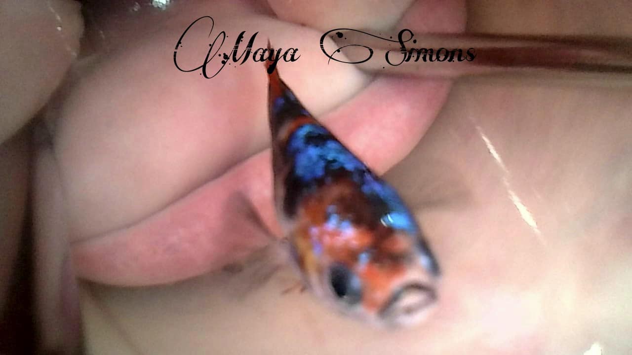 Fish in pussy