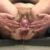 Profile picture of Ukhugeholes1