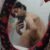 Profile picture of Nick_de_greco